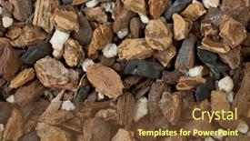  Presentation with orchid - Presentation theme featuring background-of-orchid-bark-mix background and a tawny brown colored foreground