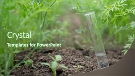  Presentation with fertilizer chemistry - PPT theme having background of plants fertilizer background and a tawny brown colored foreground