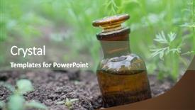  Presentation with pesticides - Slides having background of plants fertilizer background and a seafoam green colored foreground