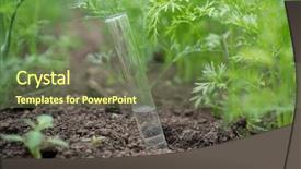  Presentation with fertilizer chemistry - PPT theme enhanced with background of plants fertilizer background and a tawny brown colored foreground