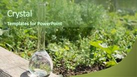  Presentation with pesticides - Amazing theme having background of plants fertilizer backdrop and a  colored foreground