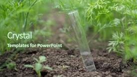  Presentation with fertilizer - Presentation theme having background of plants fertilizer background and a tawny brown colored foreground