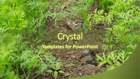  Presentation with pesticides - PPT layouts featuring background of plants fertilizer background and a  colored foreground