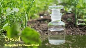  Presentation with fertilizer chemistry - Colorful slides enhanced with background of plants fertilizer backdrop and a tawny brown colored foreground