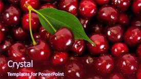  Presentation with background - Slides with agriculture backgrounds - background of ripe cherries background and a  colored foreground