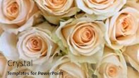  Presentation with roses - Colorful presentation design enhanced with background-of-roses-fresh-roses backdrop and a coral colored foreground