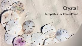  Presentation with beach wedding heart on sand - Cool new PPT theme with background of sand dollars backdrop and a lemonade colored foreground