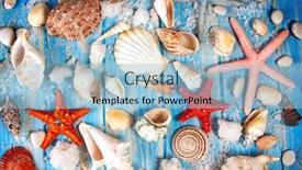  Presentation with blue - Presentation theme enhanced with background-of-seashells-and-starfishes background and a light blue colored foreground