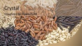  Presentation with rice grain - Theme enhanced with background of six rice grains background and a coral colored foreground