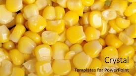  Presentation with corn cartoon - Audience pleasing slide deck consisting of background of the corn seeds backdrop and a  colored foreground
