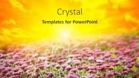  Presentation with sunshine flower - Theme with background-of-the-nature-flower background and a light gray colored foreground