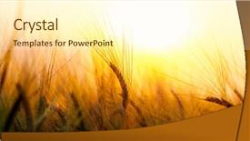  Presentation with sun - Slide set featuring background of the setting sun background and a cream colored foreground