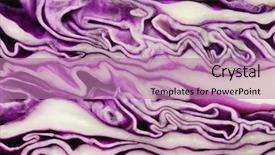  Presentation with cabbage - PPT layouts enhanced with background of the texture of a red pointed cabbage background and a coral colored foreground