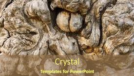  Presentation with tree roots - Beautiful PPT theme featuring background-of-tree-trunk backdrop and a tawny brown colored foreground