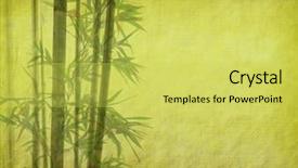  Presentation with lucky bamboo - Colorful theme enhanced with background old paper with bamboo backdrop and a yellow colored foreground