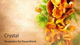  Presentation with mushrooms - Presentation theme having background on a table border background and a yellow colored foreground