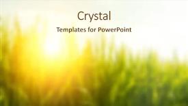  Presentation with paddy field - Colorful presentation enhanced with background paddy field with sun backdrop and a cream colored foreground