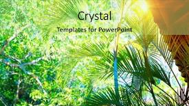  Presentation with green roof - Beautiful presentation featuring templos sunset templo - temple in sri lanka roof backdrop and a mint green colored foreground