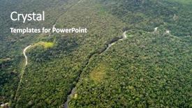  Presentation with puerto rico - Audience pleasing presentation consisting of background puerto rico - aerial view of amazon rainforest backdrop and a gray colored foreground