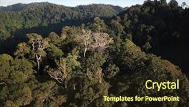  Presentation with rainforest - Audience pleasing PPT layouts consisting of background puerto rico - rainforest aerial photo of forest backdrop and a  colored foreground