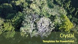  Presentation with rainforest - Slide deck featuring background puerto rico - rainforest aerial photo of forest background and a  colored foreground