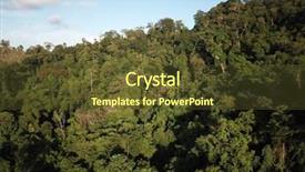  Presentation with rainforest - PPT layouts enhanced with background puerto rico - rainforest aerial photo of forest background and a  colored foreground
