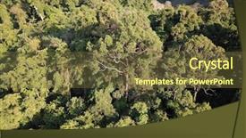  Presentation with rainforest - Slide deck with background puerto rico - rainforest aerial photo of forest background and a  colored foreground