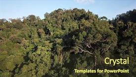  Presentation with puerto rico - PPT layouts having background puerto rico - rainforest aerial photo of forest background and a  colored foreground