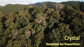  Presentation with rainforest - PPT theme featuring background puerto rico - rainforest aerial photo of forest background and a  colored foreground