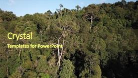  Presentation with rainforest - Slide deck enhanced with background puerto rico - rainforest aerial photo of forest background and a  colored foreground
