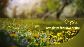  Presentation with small group top view - Audience pleasing presentation design consisting of earthing grounding - ground level view backdrop and a tawny brown colored foreground