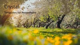  Presentation with small group top view - Presentation consisting of earthing grounding - ground level view background and a gold colored foreground