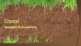  Presentation with grey wood texture and - Presentation theme having background series wood and grass background and a tawny brown colored foreground