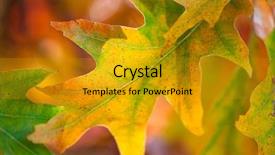  Presentation with fall season - Slide deck featuring background soft focus fall season background and a gold colored foreground