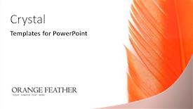  Presentation with feather - PPT theme having background-templet-made-with-close background and a white colored foreground