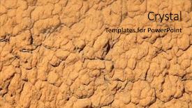  Presentation with termite - Amazing PPT theme having background texture of a termite backdrop and a gold colored foreground