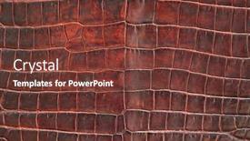  Presentation with crocodile - Beautiful slide deck featuring background-texture-of-fine-crocodile backdrop and a tawny brown colored foreground