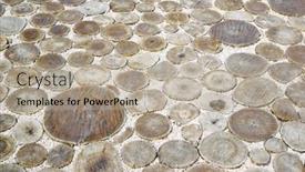  Presentation with pavement - Amazing slide set having background-texture-pavement-of-wooden backdrop and a mint green colored foreground
