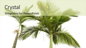  Presentation with land - Colorful slide set enhanced with background this view looks upward backdrop and a blonde colored foreground