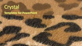  Presentation with tiger - Beautiful presentation design featuring background tiger - leopard texture backdrop and a tawny brown colored foreground