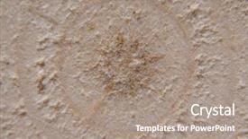  Presentation with timber wood wood texture wood - Slide deck enhanced with background tree cut with core background and a coral colored foreground