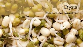  Presentation with beans - Theme having background with a mung beans background and a yellow colored foreground