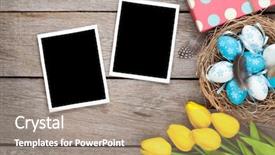  Presentation with photo tulips - Theme having background with blank photo frames background and a gray colored foreground
