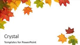  Presentation with falling leaves - Amazing PPT theme having background with bright autumn leaves backdrop and a white colored foreground