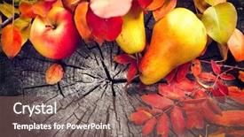  Presentation with thanksgiving or fall greeting - Presentation theme with background with colorful leaves apple background and a violet colored foreground