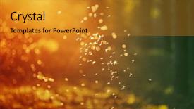  Presentation with dance beautiful couple dancing ballroom - Audience pleasing presentation theme consisting of background with dancing fairies midge backdrop and a gold colored foreground