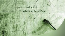  Presentation with dragonfly - Colorful presentation enhanced with background-with-dragonfly backdrop and a mint green colored foreground