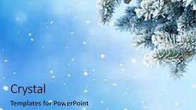  Presentation with christmas borders winter - Cool new presentation theme with background with fir tree branch backdrop and a  colored foreground