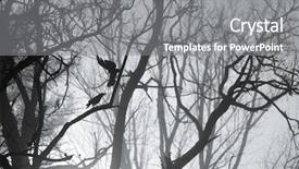  Presentation with crow - Audience pleasing slide set consisting of background with fog and crow backdrop and a gray colored foreground