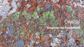  Presentation with lichen - PPT theme with background-with-green-and-white background and a gray colored foreground